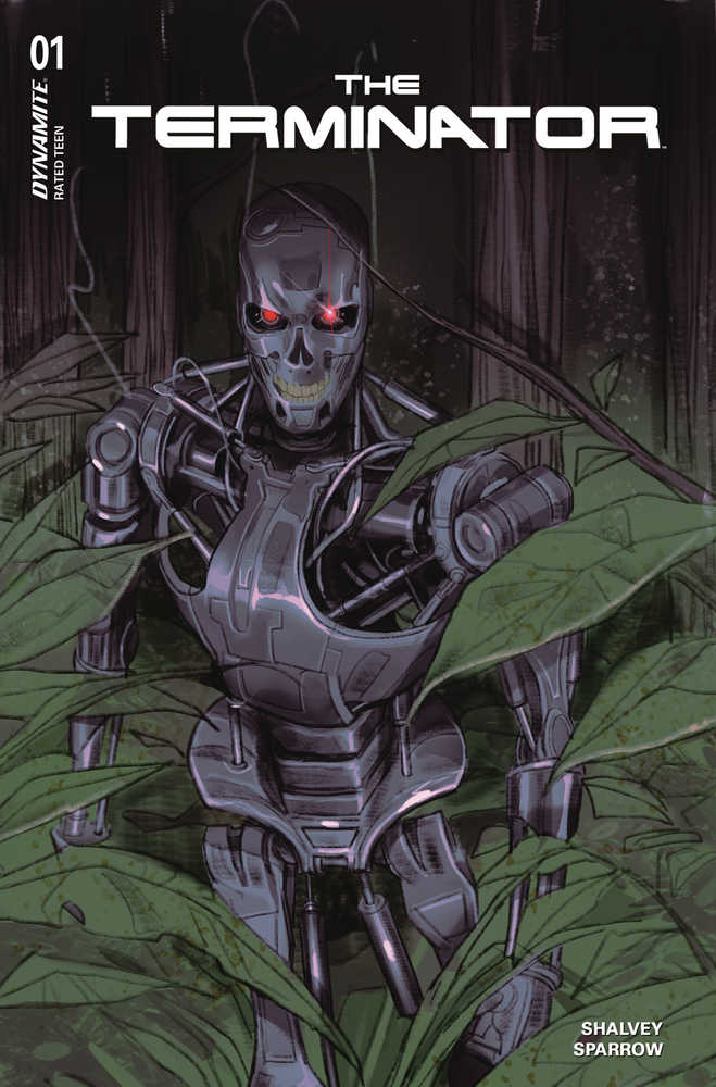 Stock Photo of Terminator #1 CVR C Sway Dynamite Entertainment Comics sold by Stronghold Collectibles of Acadiana Lafayette, LA