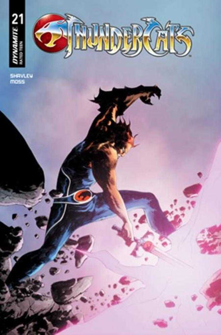 Stock Photo of  Thundercats #21 Cover C Jae Lee June Chung Variant Dynamite Entertainment Comics sold by Stronghold Collectibles of Acadiana Lafayette, LA