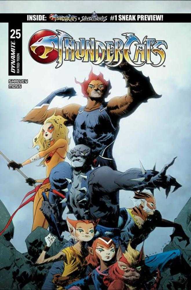 Stock Photo of  Thundercats #25 Cover C Jae Lee Variant Dynamite Entertainment Comics sold by Stronghold Collectibles of Acadiana Lafayette, LA