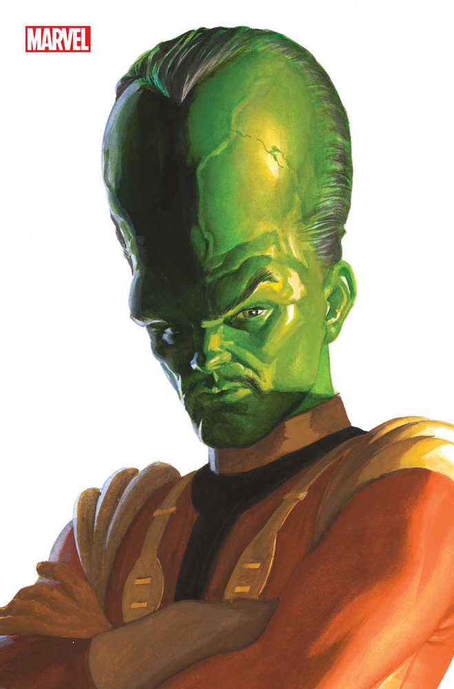 Hulk #13 Alex Ross Timeless Leader Full Art Variant - NM Near Mint