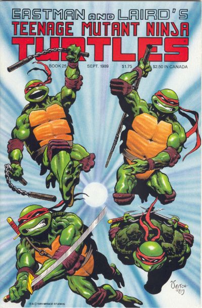 Teenage Mutant Ninja Turtles 1984 #25 - high grade - $29.99