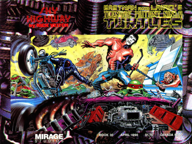 Teenage Mutant Ninja Turtles 1984 #30 - high grade - $14.99