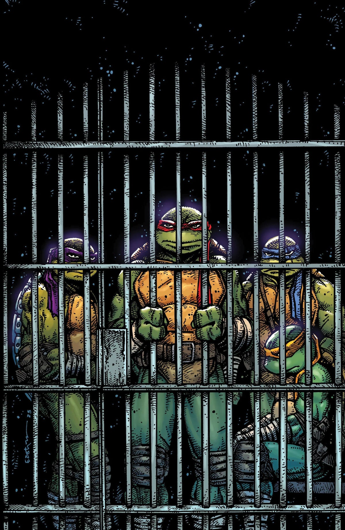 Teenage Mutant Ninja Turtles #11 Variant RI 1:10 Eastman Full Art 09/03/25