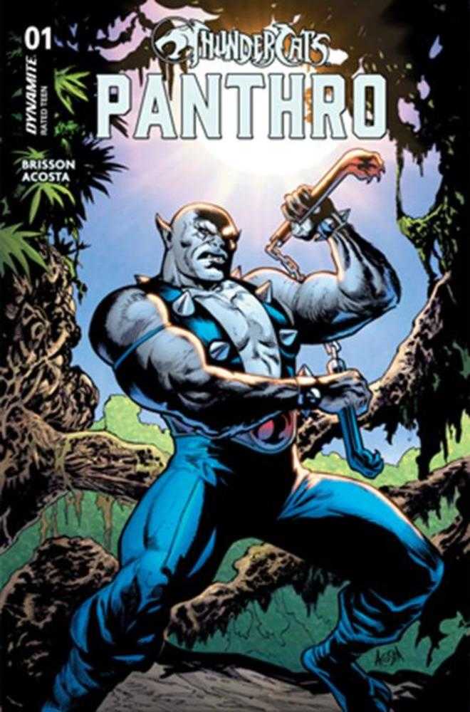 Thundercats Panthro #1 CVR A Dave Acosta 11/12/25