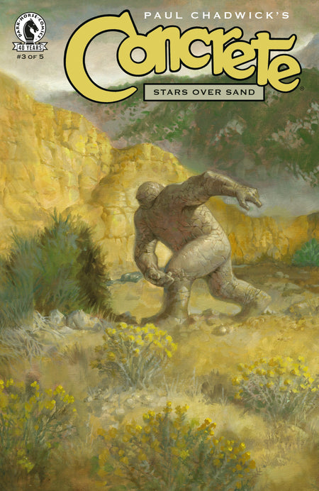 CONCRETE STARS OVER SAND #3 CVR A PAUL CHADWICK
