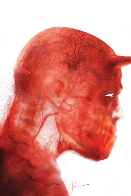 DAREDEVIL #6 JOCK VIRGIN VAR 1:100 INCV