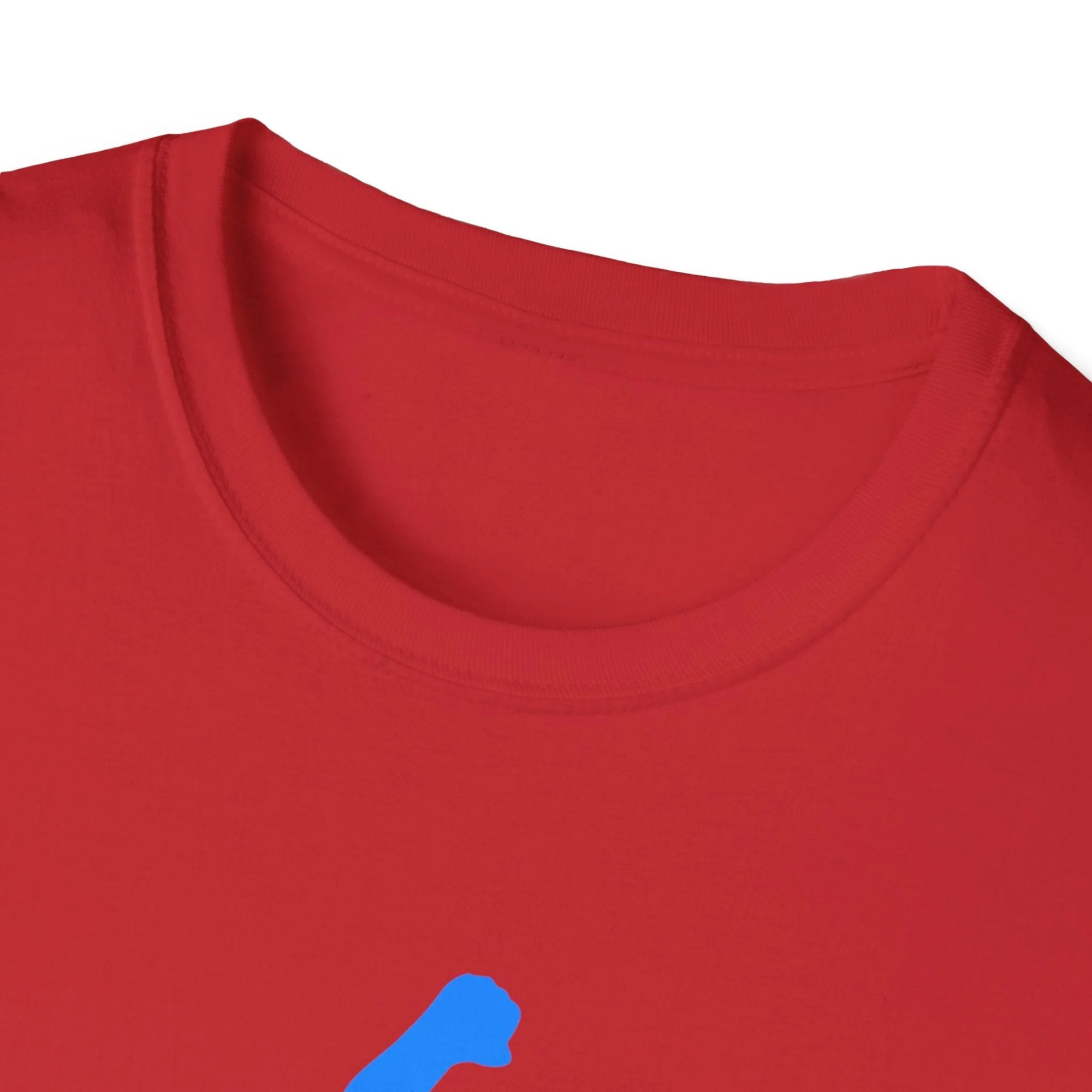 Unisex Softstyle T-Shirt - XL / Royal