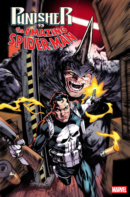 PUNISHER VS SPIDER-MAN #3 CVR A