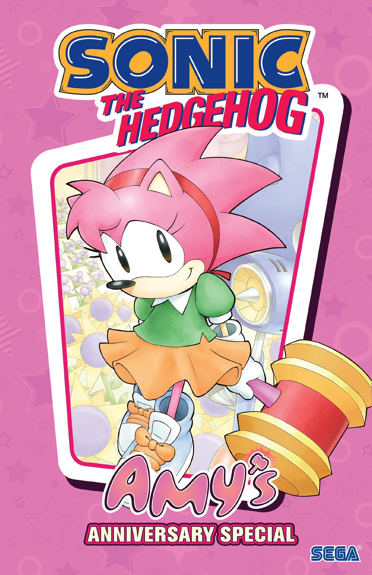 SONIC THE HEDGEHOG AMYS ANNIVERSARY SPECIAL HC