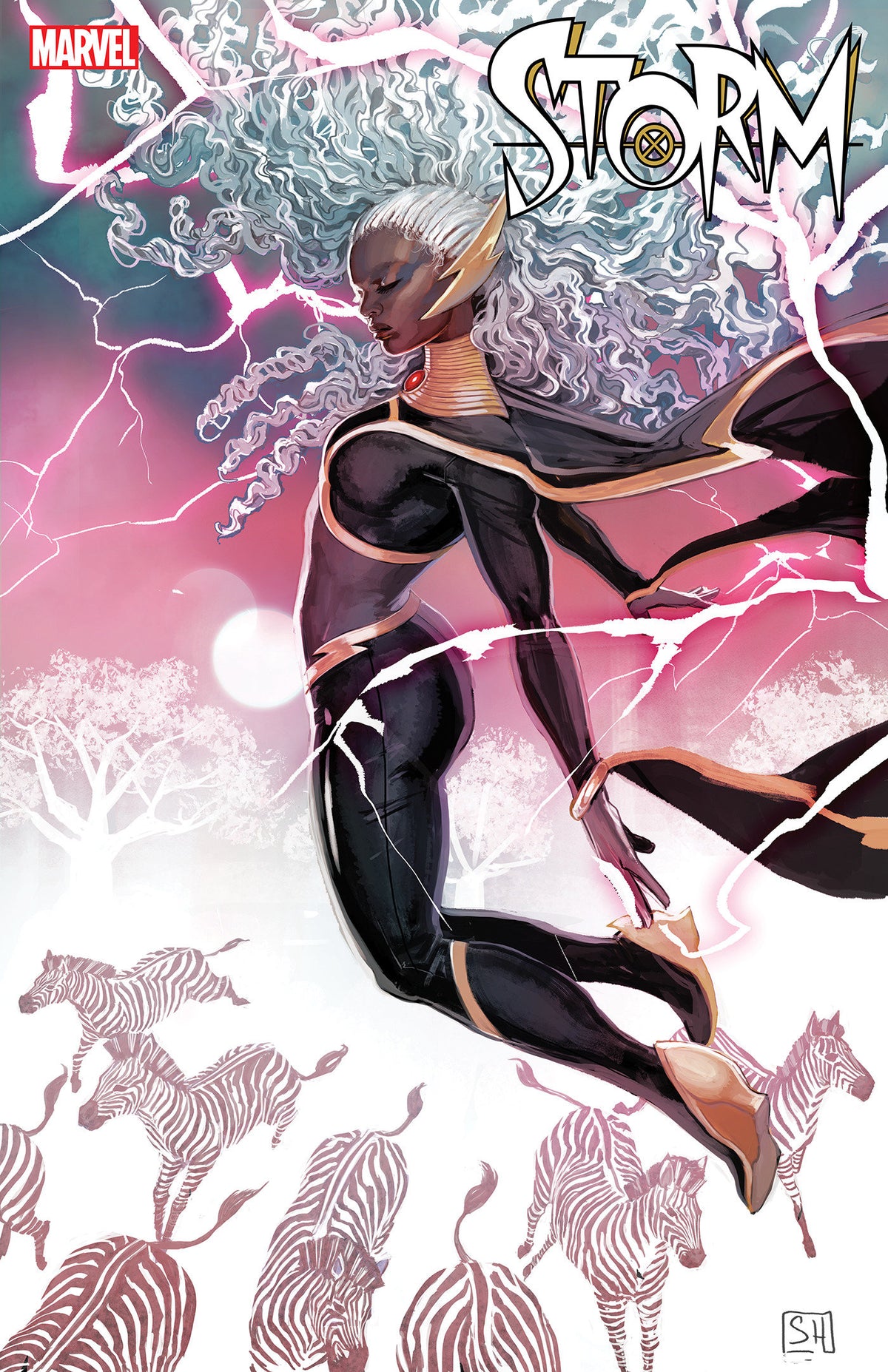 Stock Photo of Storm #2 Stephanie Hans 1:25 Variant Marvel Comics Comics sold by Stronghold Collectibles of Acadiana Lafayette, LA