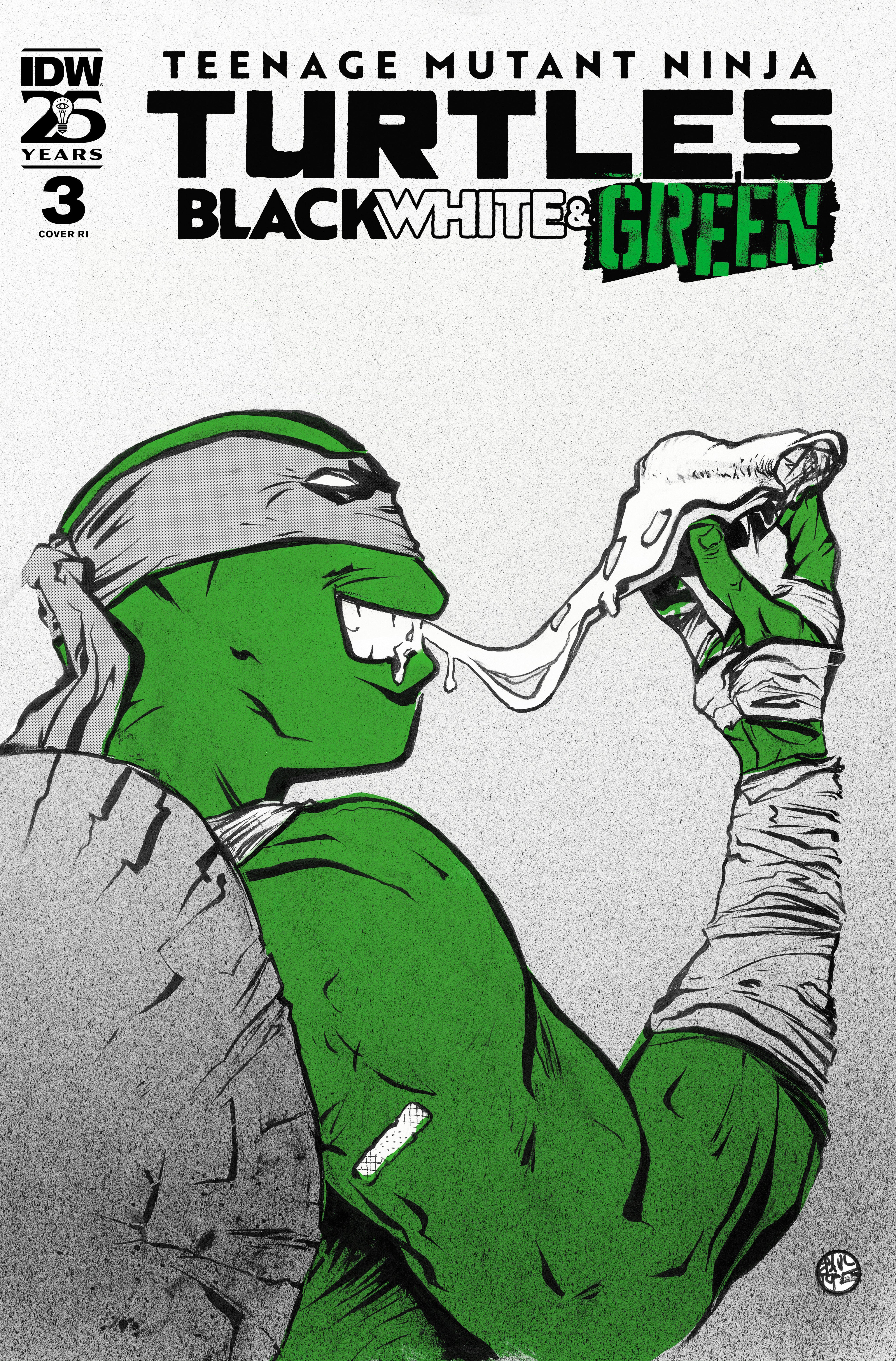 Stock photo of Teenage Mutant Ninja Turtles: Black, White, And Green #3 Variant RI 1:10 Pope Foil Variant IDW Publishing Comics sold by Stronghold Collectibles of Acadiana, Lafayette, Louisiana