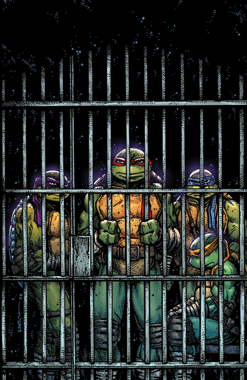 Stock Photo of Teenage Mutant Ninja Turtles #11 Variant Ri (10) (Eastman Full Art) IDW Publishing Comics sold by Stronghold Collectibles of Acadiana Lafayette, LA