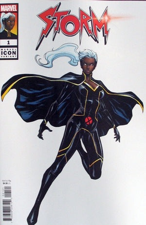 Storm 1 Stefano Caselli Marvel Icon Variant