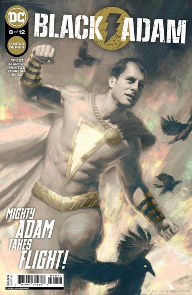 Stock Photo of Black Adam #8A (Of 12) Irvin Rodriguez comic sold by Stronghold Collectibles