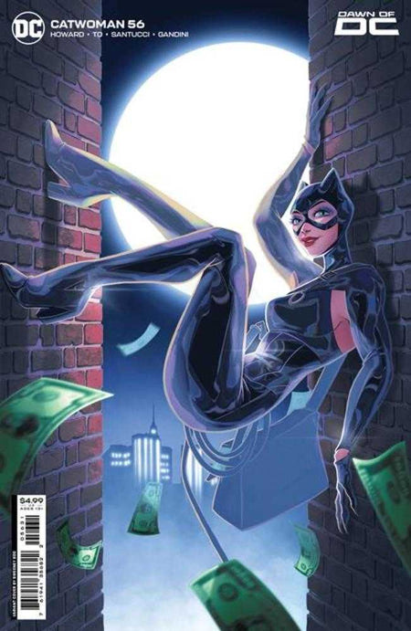 Stock Photo Catwoman #56 CVR C Sweeney Boo Card Stock Variant comic sold by Stronghold Collectibles