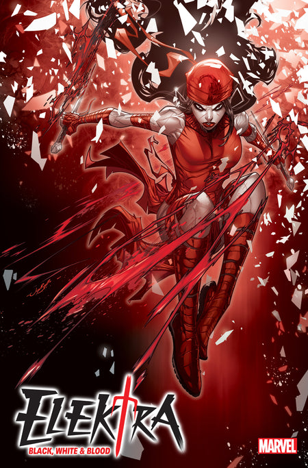 Image of Elektra: Black, White & Blood 1 Jonboy Variant comic sold by Stronghold Collectibles.