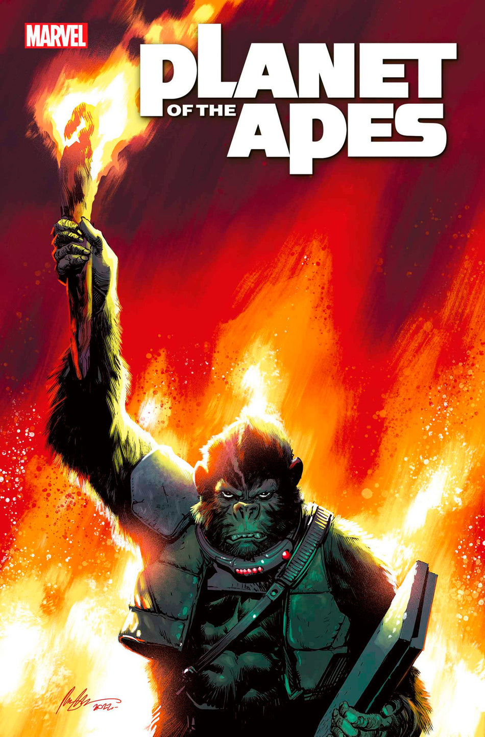 Stock Photo of Planet Of The Apes 2 Rafael Albuquerque Variant comic sold by Stronghold Collectibles